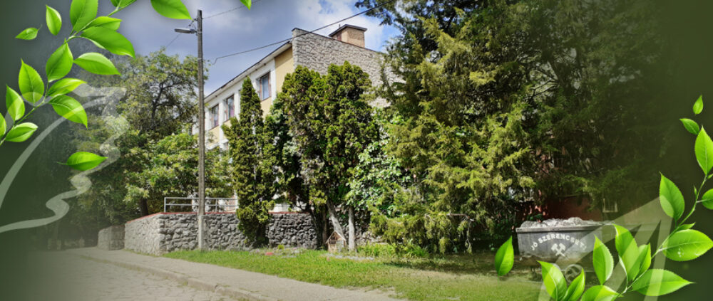 Pécs-Vasasi Általános Iskola